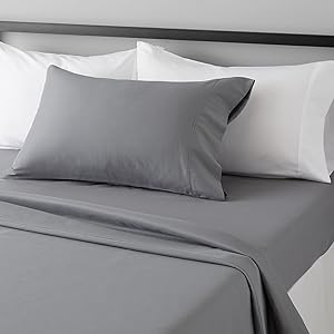 Basics Lightweight Super Soft Easy Care Microfiber 3-Piece Bed Sheet Set With 14-inch Deep Pockets, Twin XL, Dark Gray, Solid