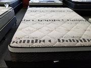 Dream Pedic (Euro Top) Mattress - Brand New